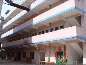 東莞市馬安嶺2號好運(yùn)廠資產(chǎn)管理探析——基于農(nóng)村社區(qū)集體資產(chǎn)管理的視角